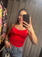 Mira body